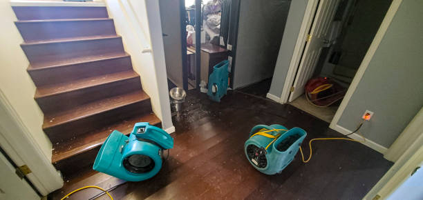 Best Ceiling water damage repair  in Paradise Valley, AZ