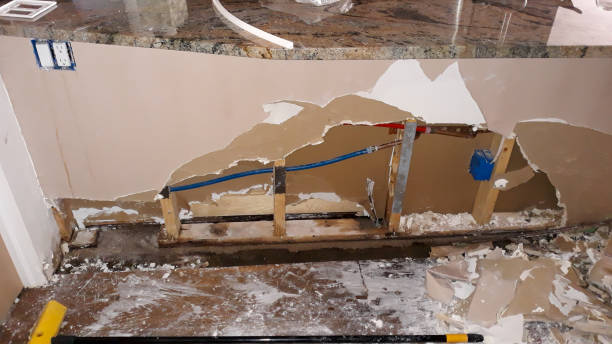 Best Water damage restoration cost  in Paradise Valley, AZ